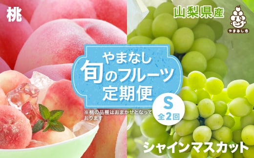 ＜発送月固定定期便＞やまなし旬のフルーツ定期便(桃・シャインマスカット)＜S＞全2回_ もも ぶどう ブドウ 山梨 フルーツ 果物 セット 贈答 ギフト プレゼント 産地直送 送料無料 【4012931】