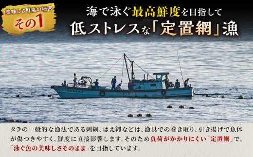 北海道 タラの昆布締め【540g(180g×3)】