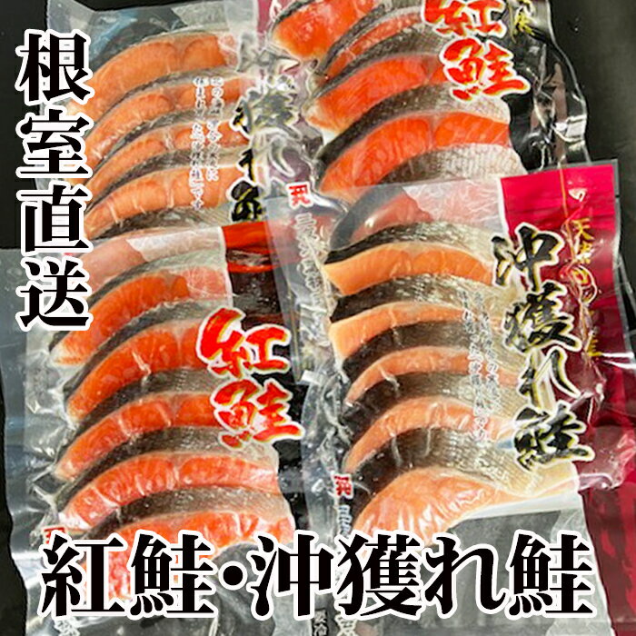 【ふるさと納税】 甘塩紅鮭5切×2P、甘塩沖獲れ鮭5切×2P セット 鮭 さけ サケ しゃけ シャケ 魚 さかな サカナ 紅ざけ 紅ザケ べにざけ ベニザケ お取り寄せ グルメ 海鮮 北海道 根室市 ふるさと納税 A-36007