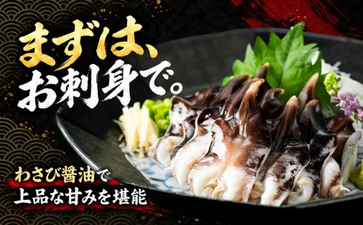 【美浜町・南知多町共通返礼品】三河産　地物とり貝　刺身用ボイル | とり貝 トリ貝 鳥貝 貝 魚介 三河湾 海鮮 コリコリ 歯ごたえ 甘み 旨み ボイル 寿司 高級 鮮魚店 目利き 産地直送 お取り寄