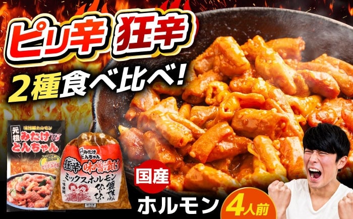 
            「元祖みたけとんちゃん」 【辛口セット】 ピリ辛みそ味×ミックスホルモン狂辛（4人前）/ モツ もつ ホルモン レバー 辛口 / 御嵩町 / 藤よし [AVAA054]
          