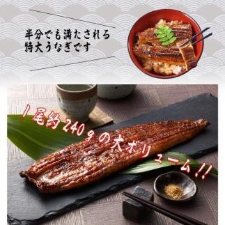 うなぎ蒲焼き2尾入り 480g（蒲焼たれ4袋 山椒付き）【KS5】