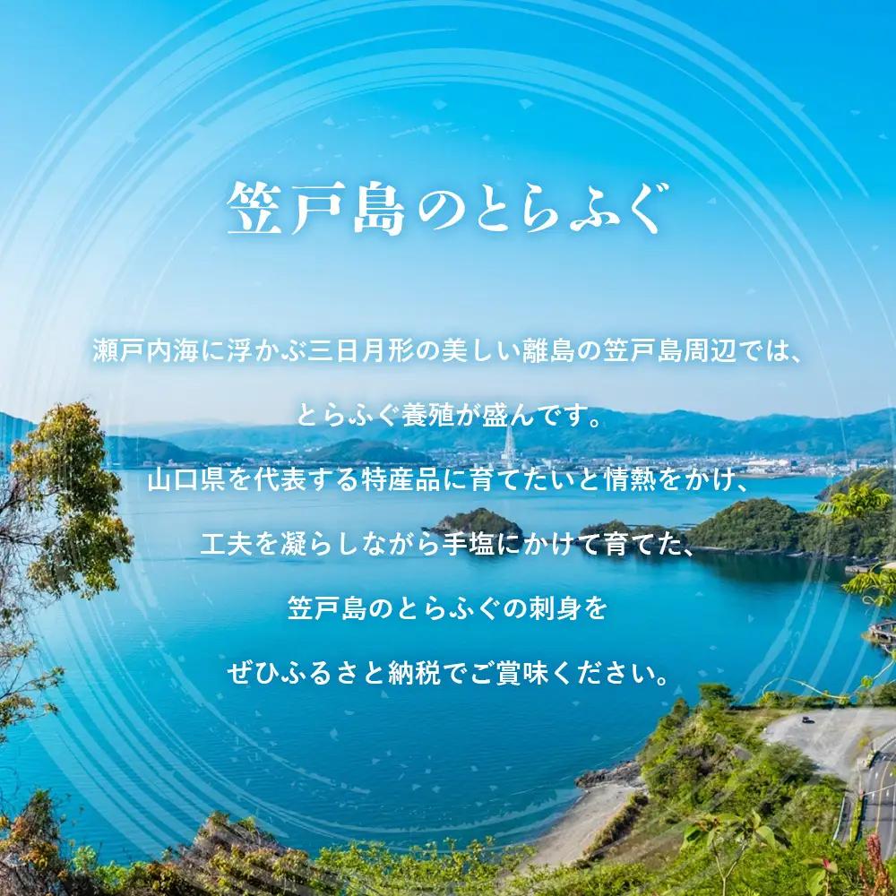 下松産　とらふぐお刺身（陶器皿）約3～4人前【引換券】 ／ お造り フグ 養殖 山口県 特産品 No.096