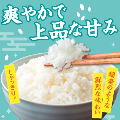 ふるさと納税 五所川原市 【令和8年産米】【先行受付】 特別栽培米 青天の霹靂・はれわたり 計10kg(5kg×2) 青森県産 |  | 01