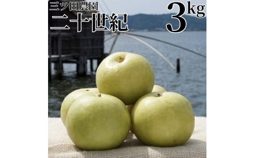 303K.■三ツ田農園■二十世紀3kg