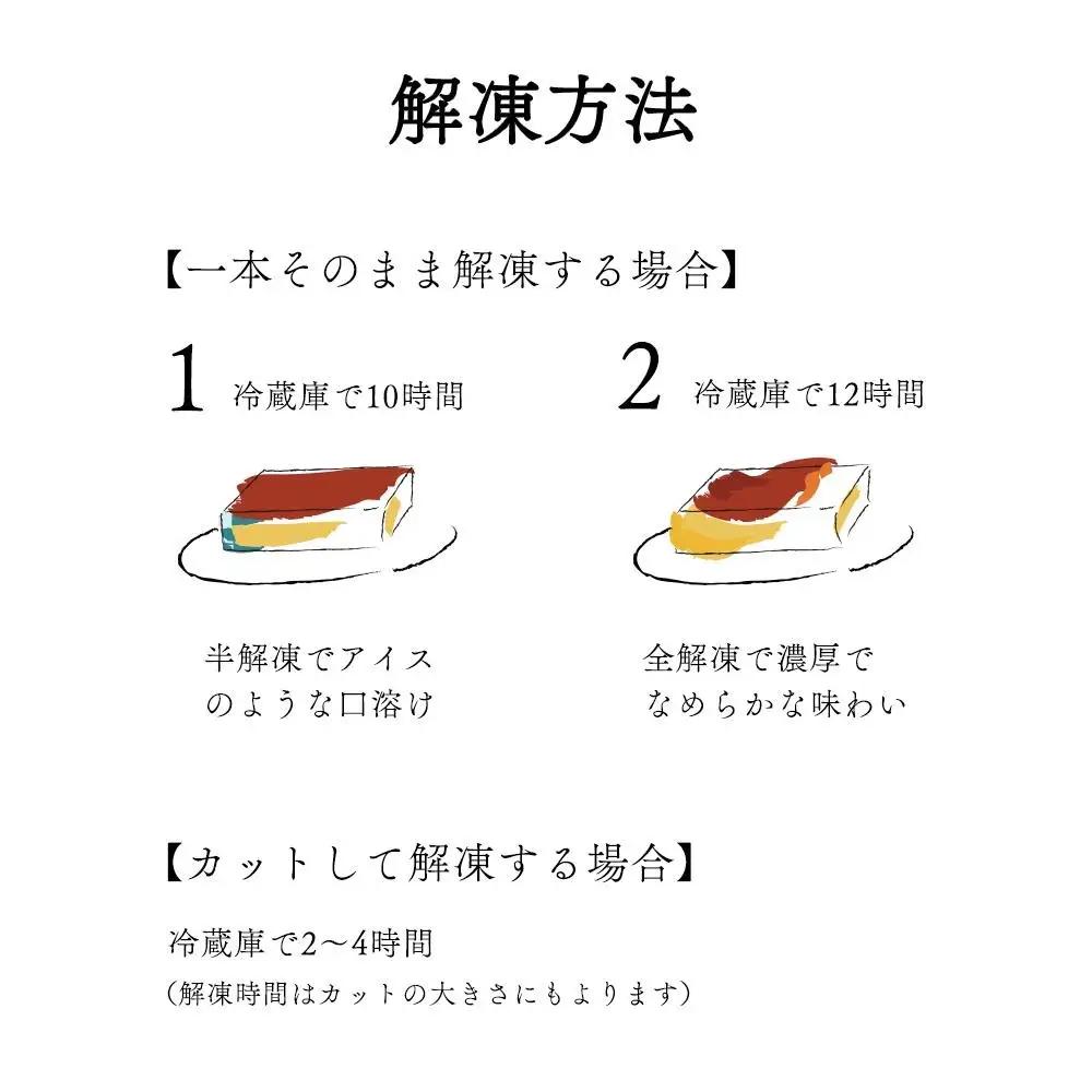 【定期便】北海道 濃厚プリン　New Pudding（ニュープディング）（500g×1本）×2ヶ月  別海町プリン