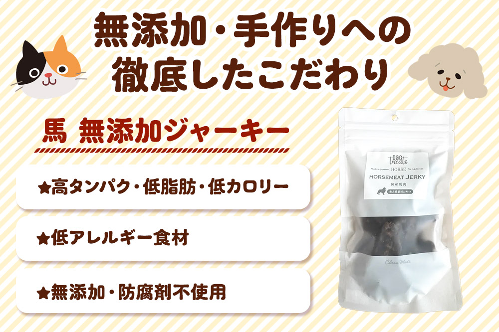 国産馬肉ジャーキー 無添加 40g×1袋 クロネコゆうパケット