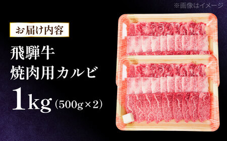 飛騨牛 焼肉用 カルビ 1kg 瑞浪市 / 肉のひぐち 国産 ブランド牛 和牛[AZDE004]