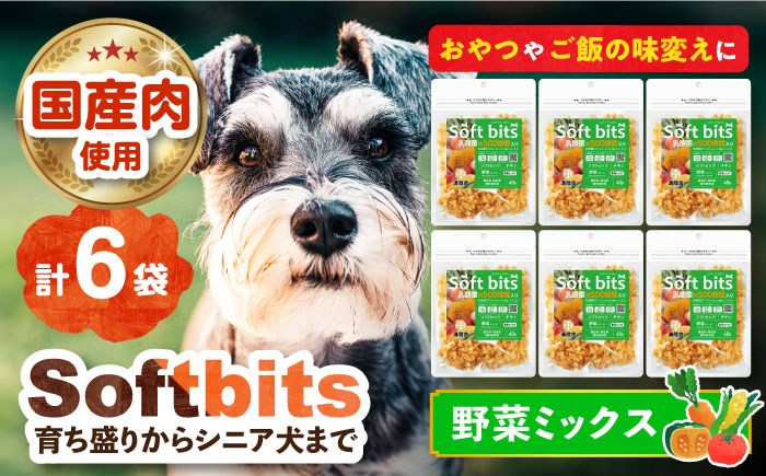 
Softbits （野菜）野菜ミックス（40g×6P）長崎県/株式会社サポート [42AEAE020]
