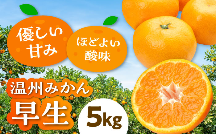 【先行予約】【11月上旬から順次発送】【まごころ手選り手詰め】温州みかん 早生 約5kg 愛媛県大洲市/カームシトラス みかん ミカン 蜜柑 果物 くだもの フルーツ