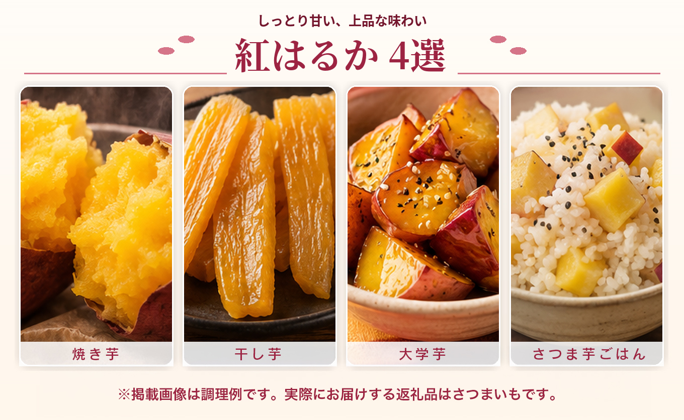 さつまいも 熟成 紅はるか 約10kg 国産 焼き芋 焼芋 やきいも しっとり 蜜芋 芋 おいも サツマイモ さつま芋 べにはるか スイーツ おやつ 産地直送 栽培期間中農薬不使用 高知県 大月町産