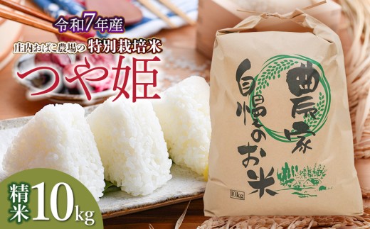 【令和7年産先行予約】庄内おばこ農場の特別栽培米 つや姫 精米 10kg (10kg×1袋)　K-7120