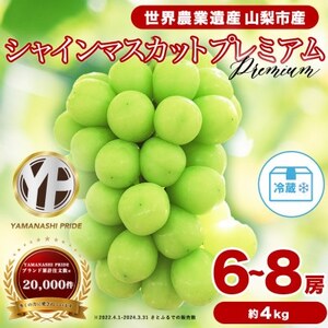 フルーツ王国山梨産 厳選 シャインマスカット 6～8房(約4kg) 2kg×2箱【配送不可地域：離島】【1632338】