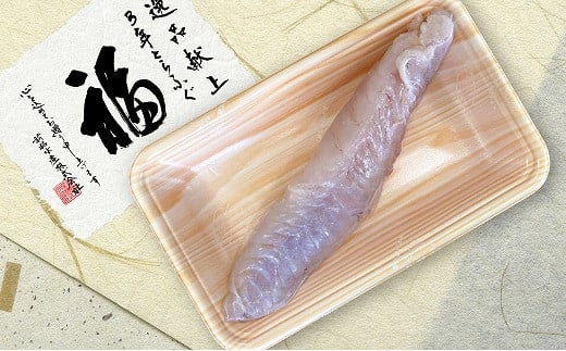 【前拓水産】淡路島3年とらふぐ（活上身/片身）2Pセット