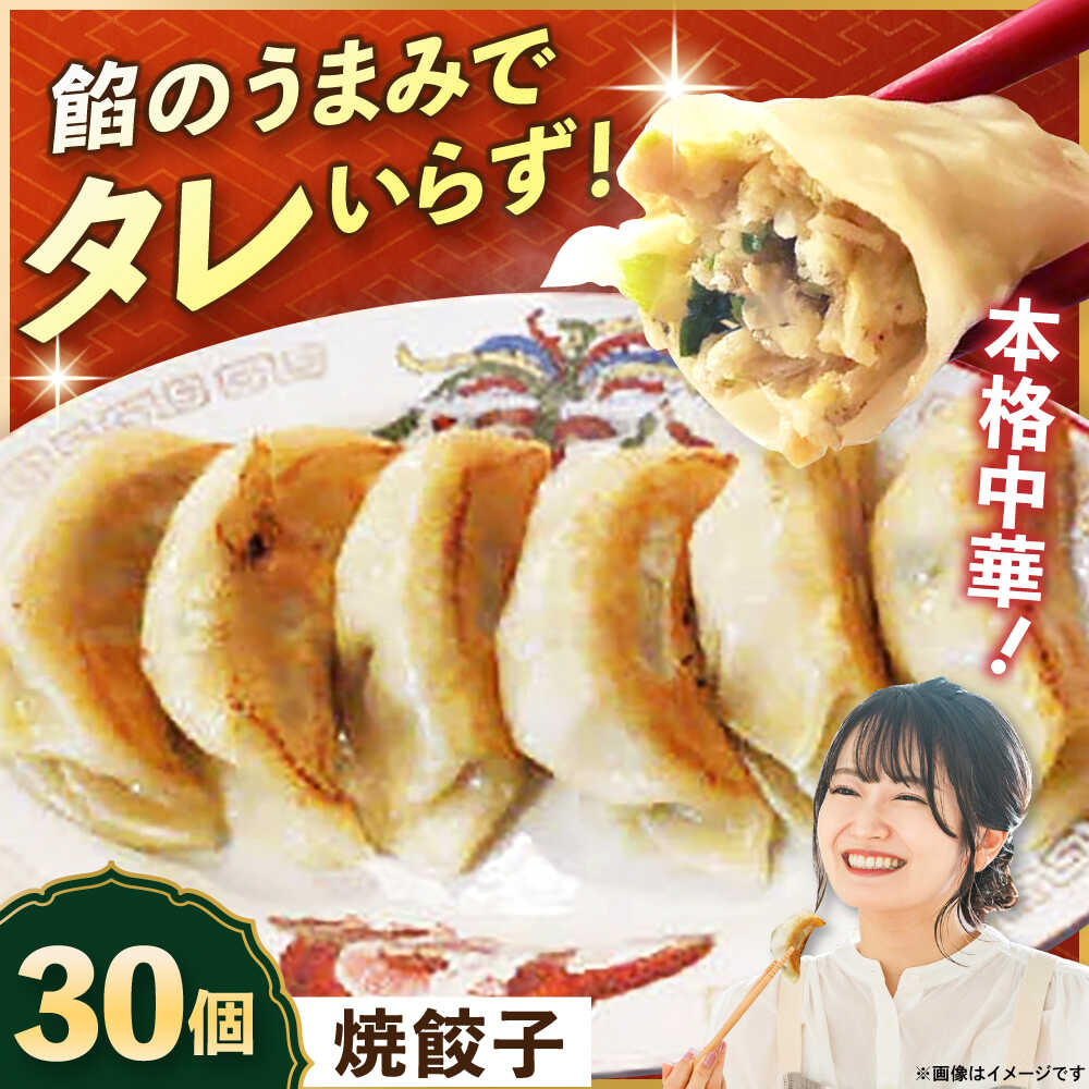 【ふるさと納税】【テレビで紹介されました！】冷凍 焼餃子 30個 ジューシー モチモチ 自家製 餃子 ぎょうざ 中華【横須賀商工会議所 おもてなしギフト事務局（上海亭）】お取り寄せ おかず つまみ ビール 簡単 本格 肉厚 肉汁 焼ぎょうざ ギョーザ 惣菜 パーティー[AKED002]