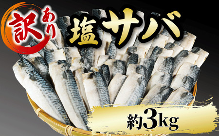 訳あり 塩サバ 約3kg 冷凍 鯖 塩 さば 魚 さかな 海鮮 海産物 おかず ご飯 おすすめ 人気 愛知県 南知多町 【配送不可地域：離島】 ( サバ サバ サバ サバ サバ サバ サバ サバ サバ サバ サバ サバ サバ サバ サバ サバ サバ サバ サバ サバ サバ サバ サバ サバ サバ サバ サバ サバ サバ サバ サバ サバ サバ サバ サバ サバ サバ サバ サバ サバ サバ サバ サバ サバ サバ サバ サバ サバ サバ サバ サバ サバ サバ サバ サバ サバ サバ サバ サバ サバ サバ