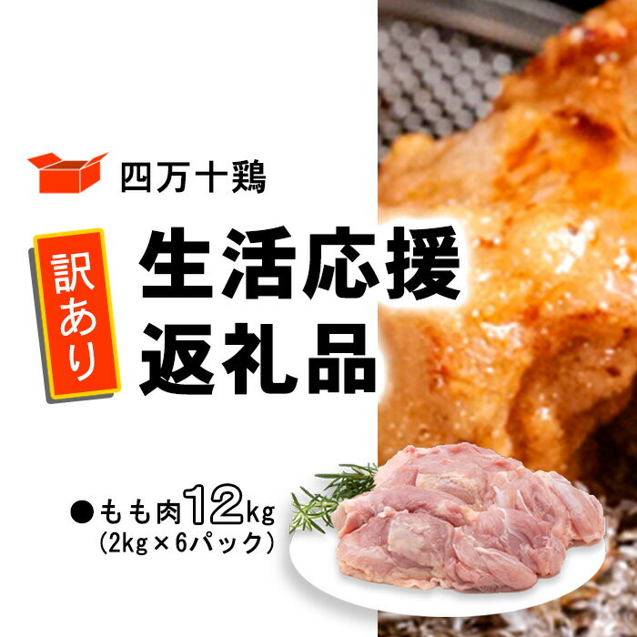 【ふるさと納税】 鶏肉 訳あり もも肉 12kg 6パック 国産 冷凍 四万十鶏 鶏もも とり肉 とり肉 小分け ふるさと納税 肉 とり パック もも 送料無料 便利 から揚げ 四万十 高知県 カット済み おいしい 人気