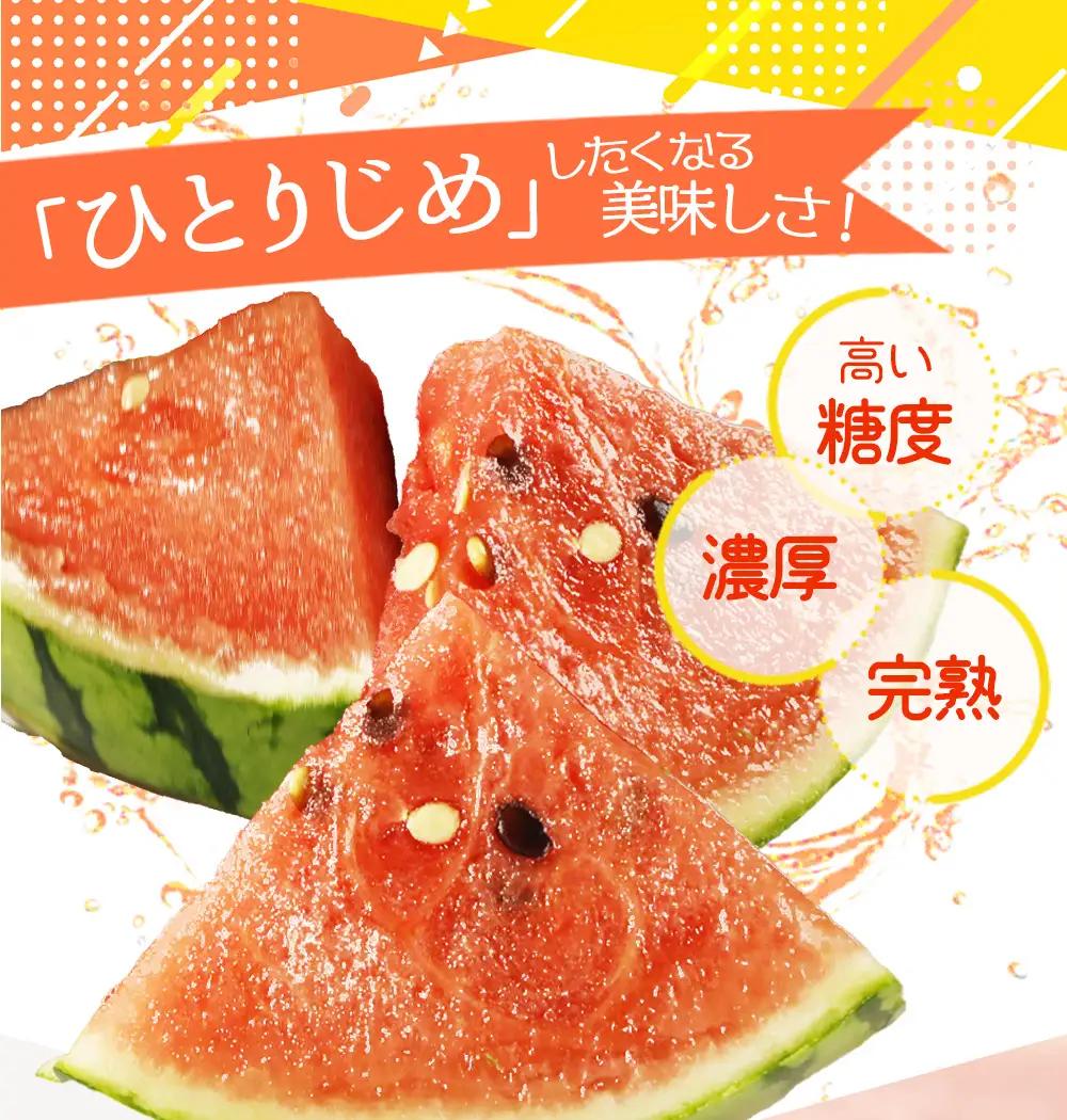 すいか 和歌山の小玉すいか「ひとりじめ」約1.8kg 1玉 ※2027年5月下旬頃〜6月下旬頃に順次発送予定【uot778A】