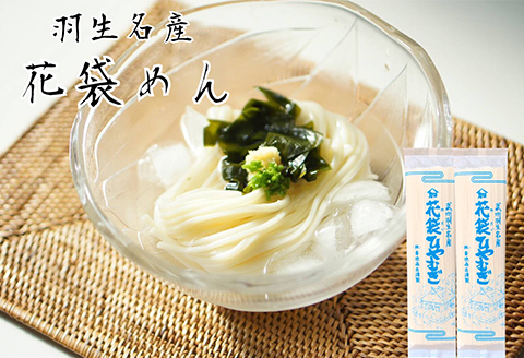 花袋ひやむぎ 40人前 ( 200g×20 ) 武州羽生名産 素朴 麺 冷や麦 明治六年創業 創業 武州 名産 名物 乾麺 株式会社斉徳商店 埼玉県 羽生市