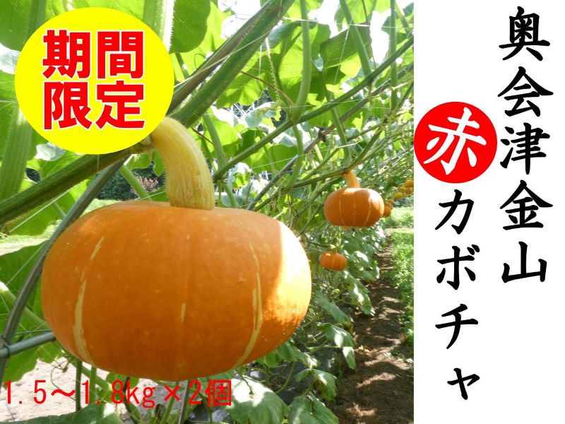 
            【2週間限定】奥会津金山赤カボチャ(２個入)
          