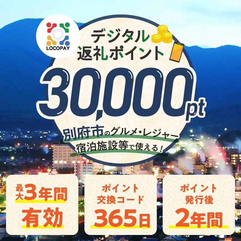 LOCOPAYデジタル返礼ポイント【30,000ポイント】_B167-004