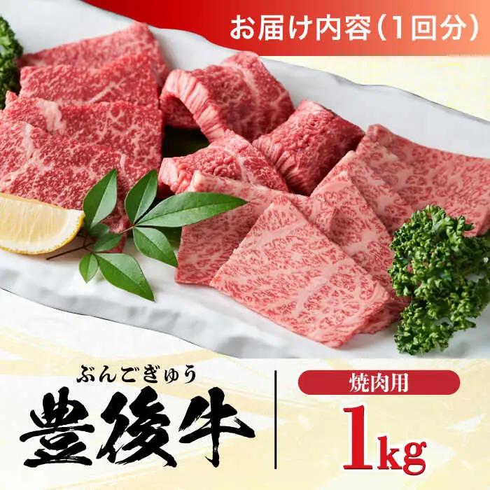 【全12回定期便】おおいた豊後牛 焼肉用 1kg(500g×2P) 赤身 モモ 焼肉  冷凍 豊後牛 BBQ [AREI103]