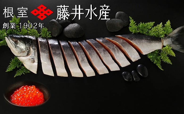 【北海道根室産】時しらず鮭600g×1P・いくら醤油漬け70g×2P B-42106
