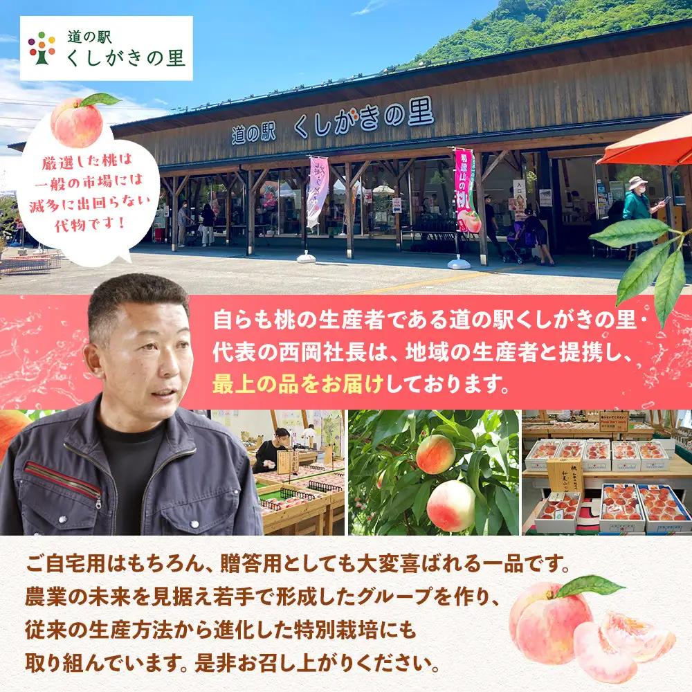 ［秀品］川中島白桃 食べきりやすい3個入り［2026年7月末頃から順次発送］こだわり 農家厳選 先行予約 モモ［KG16］