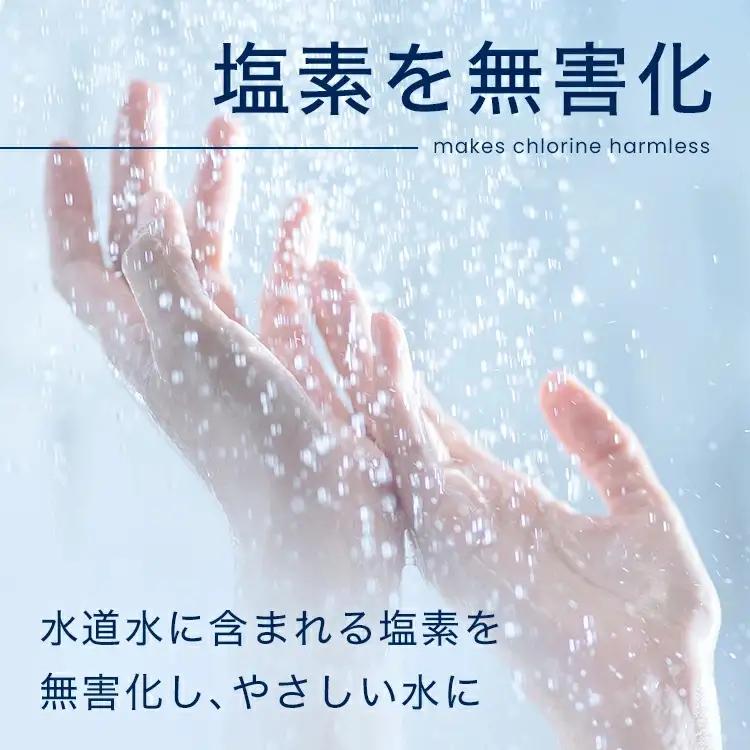 イオナック シャワーヘッド（カートリッジ付）【ionc0001A】