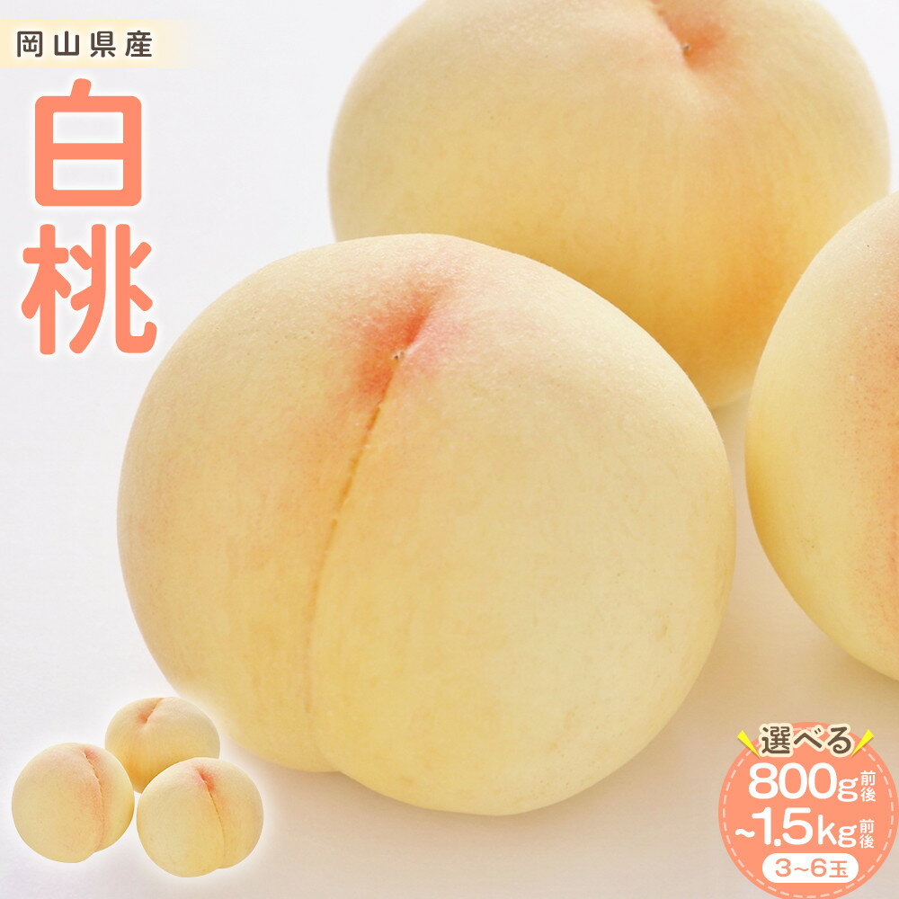 【ふるさと納税】【内容量が選べる】桃 2026年 白桃 3玉入り合計800g前後又は6玉入り合計1.2～1.5kg前後 | もも フルーツ 果物 くだもの 食品 人気 おすすめ 送料無料