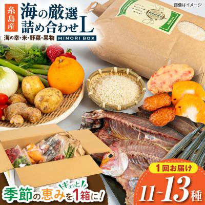 ふるさと納税 糸島市 糸島産 魚 米 野菜 果物 厳選詰め合わせ MINORI BOX L [AOP027]