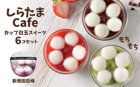 しらたまcafe カップ白玉スイーツ(新発田巨峰) 6個セット| しらたま 白玉 スイーツ デザート