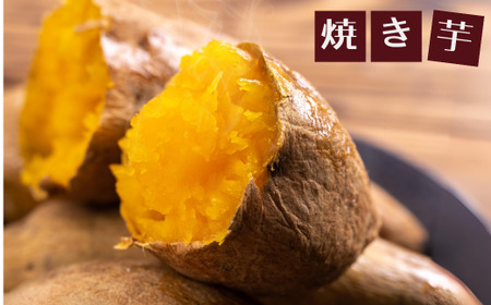 【先行予約】【さつまいも 安納芋 4kg】10月から12月にかけて発送予定 農薬不使用 農薬不使用 あんのう芋 サツマイモ イモ いも クリーム ねっとり 兵庫県 香美町 村岡 むらおか夢アグリ 13
