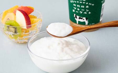 【奥羽乳業】贈答用 奥羽乳業ギフト 2種6個セット(のむヨーグルト2本・プレーンヨーグルト4個) 山形県産生乳使用！ F2Y-6542