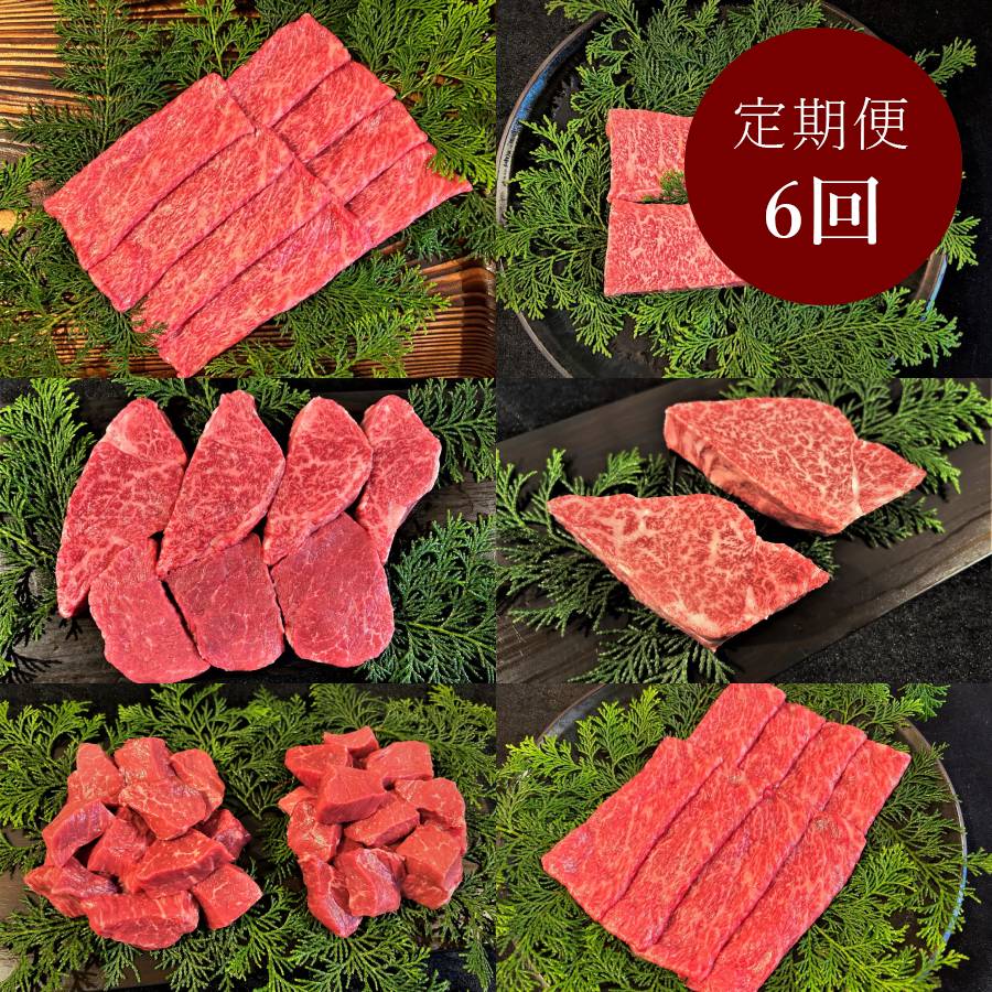 ＜古里精肉店＞「飛騨牛」A5等級『ヒレ&赤身』【6ヵ月定期便】