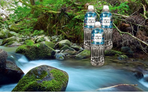 
[№5533-0298]【定期便】四季の恵み天然水　550ml　48本　5ヶ月連続届
