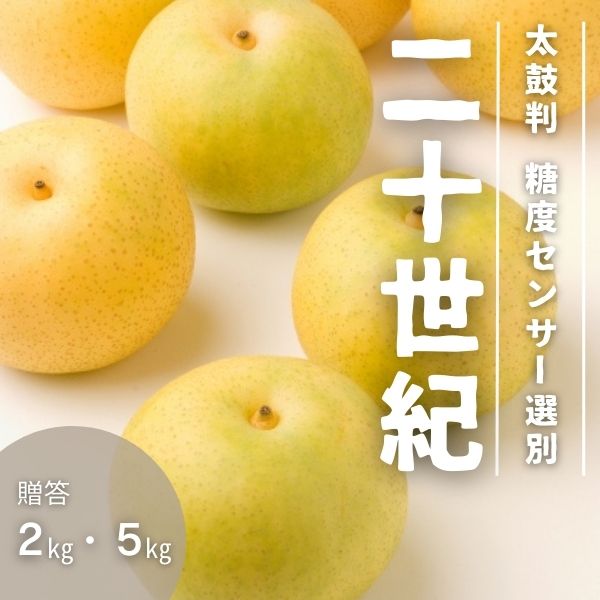 【ふるさと納税】梨 二十世紀梨 約2.2kg or 約5kg／9月上旬～9月下旬ごろ配送// 糖度センサー選別 厳選 南信州 長野県 和梨 なし ナシ 新鮮 厳選 贈答 2kg JA30 JA07