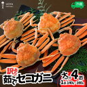 【ふるさと納税】【限定50セット】【訳あり 茹で セコガニ 大サイズ（140～160g）4匹 指落ち（1～2本）冷蔵】11月中旬以降順次発送 香住 香美町 柴山 日本海 国産 カニ ズワイガニ 松葉ガニ せいこがに ボイル はらとく 送料無料