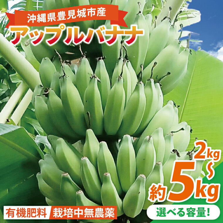 【ふるさと納税】【選べる内容量】アップルバナナ 約2kg～約5kg｜バナナ ばなな アップルバナナ フルーツ くだもの 果物 沖縄フルーツ 有機肥料 沖縄 沖縄県 豊見城市(DL001)