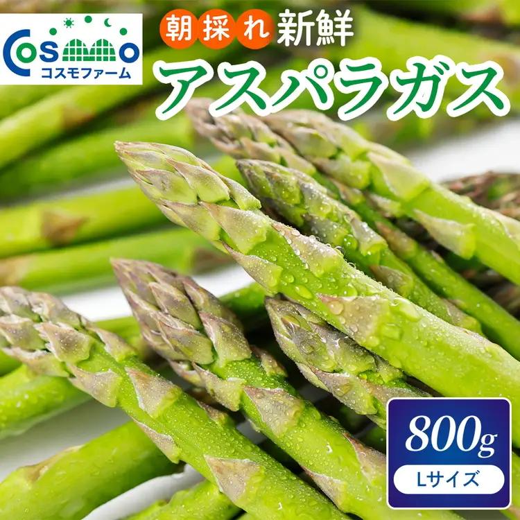 朝採り新鮮アスパラガス 800g【Lサイズ】 | アスパラガス