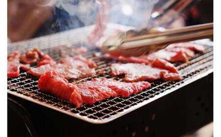【桜屋】GI 認定ブランド牛 焼肉用 500g 国産 熊本県産 地理的表示 くまもとあか牛 褐毛和種 あかげわしゅ ブランド牛 熊本県認定 和牛 あか牛 焼肉 BBQ 炒め物 希少 阿蘇 小国町 小国
