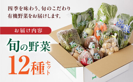 有機野菜 オーガニック 野菜 12種セット 野菜詰め合わせ 熊本県産有機野菜 山都町産有機野菜 産地直送 高原野菜 新鮮有機野菜 採れたて有機野菜 旬 有機野菜セット 有機野菜食べ比べ 九州産有機野菜