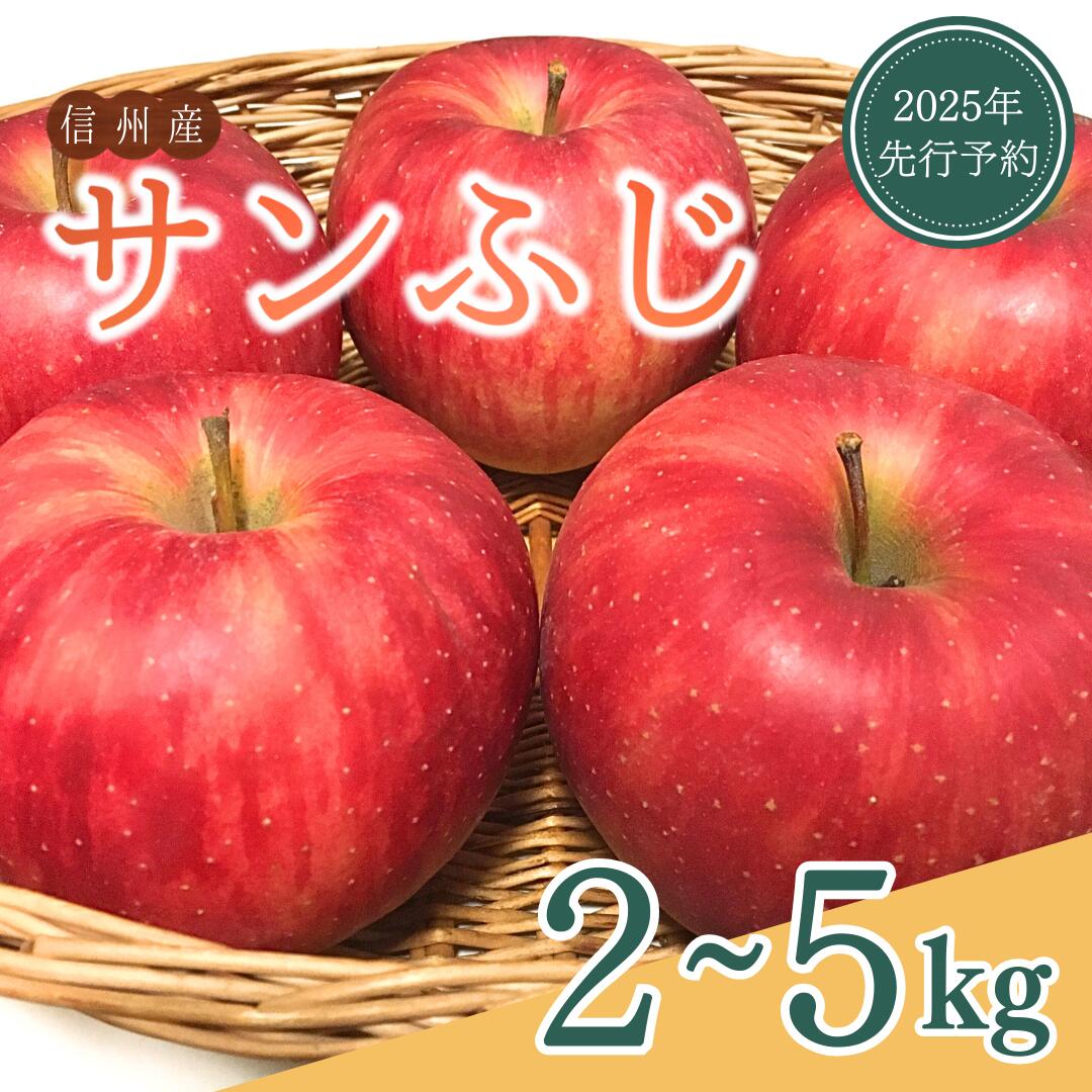 【ふるさと納税】【2025年先行予約】ザ・王道 りんご サンふじ 約2kg/3kg/5kg |林檎 蜜入り 果物 フルーツ サン ふじ 富士 2kg 3kg 5kg 信州林檎 信州りんご 信州 長野 千曲市 送料無料