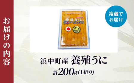 昆布一本育ち!!「浜中町産 養殖うに 折詰入り　200g×一折り」_H0038-003
