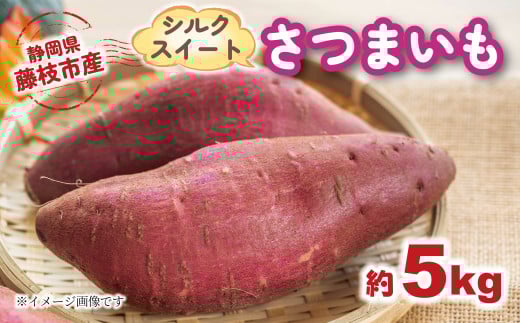 【2025年11月～順次発送予定】 さつまいも シルクスイート 約5kg 期間限定 サツマイモ 焼き芋 イモ 芋 いも 野菜 健康 やさい 人気 おすすめ 静岡県 藤枝市