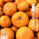 【ふるさと納税】国安さんちの愛媛みかん10kg【訳あり】【C20-12】_ 訳アリ わけあり ワケアリミカン みかん フルーツ 果物 くだもの 家庭用 人気 柑橘 かんきつ 不揃い 規格外 傷 愛媛 旬 産地直送 産直 季節限定 【1094603】