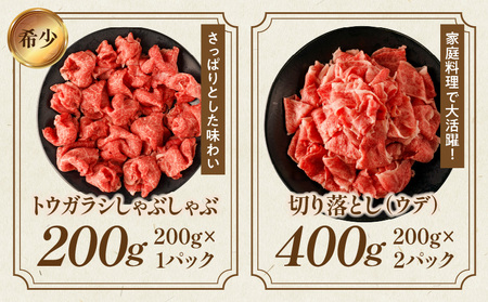 宮崎牛厳選部位食べ尽くしセット 肉 牛 牛肉