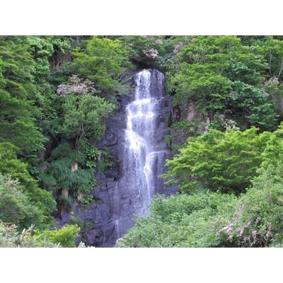 ふるさと納税 勝山市 【令和7年産】 特別栽培米 コシヒカリ 5kg×2 (無洗米) |  | 02