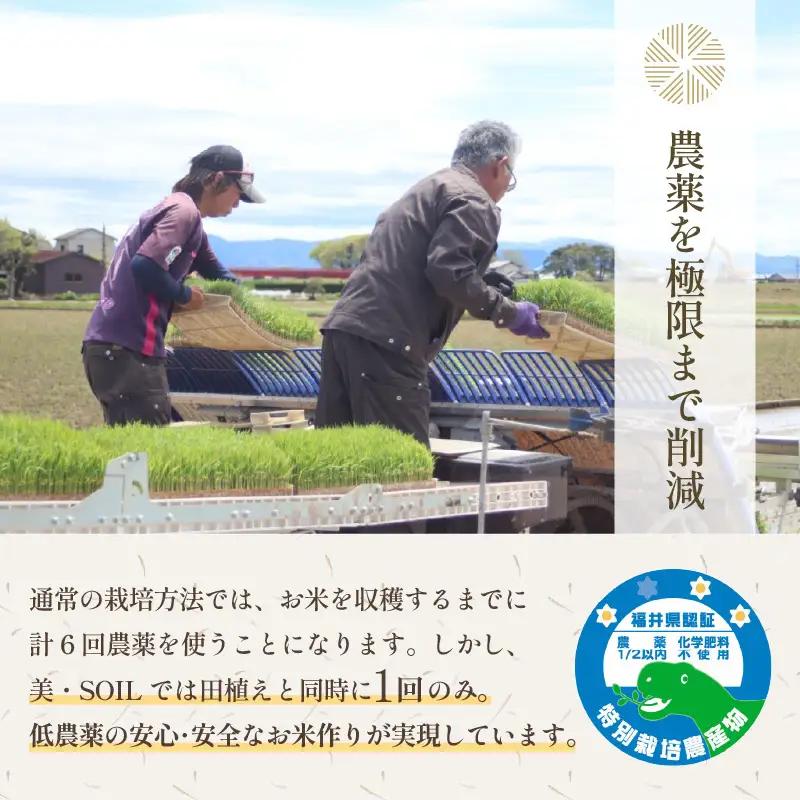 【先行予約】【令和8年産 新米】特別栽培米 コシヒカリ 10kg 低農薬 《食味値85点以上！こだわり極上米》 / 福井県 あわら 北陸 米 お米 人気 高品質 鮮度抜群 新米 ※2026年9月上旬よ