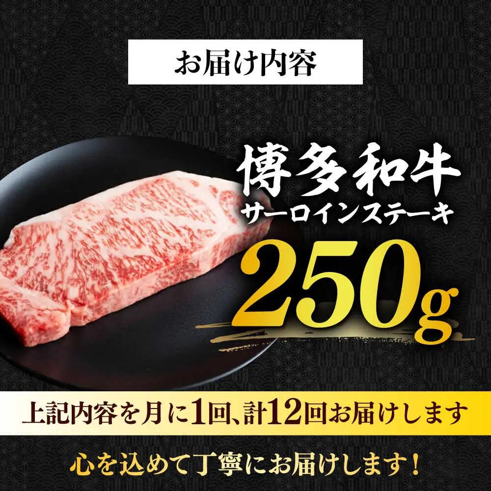 サーロイン 【全12回定期便】 博多和牛A4以上サーロインステーキ250g×1枚 [ABBP047]
